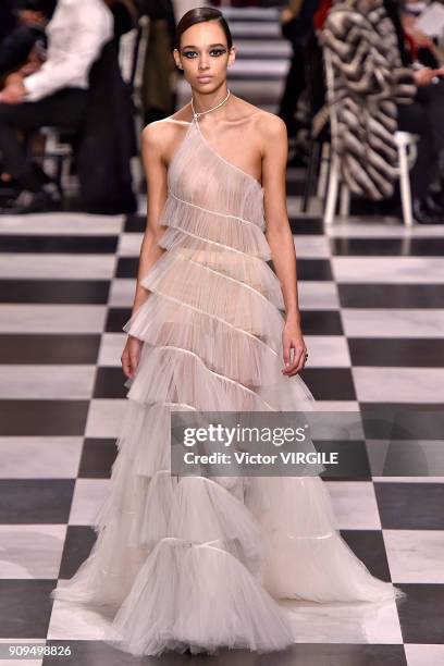 Model walks the runway during the Christian Dior Haute Couture Spring Summer 2018 show as part of Paris Fashion Week on January 22, 2018 in Paris,...