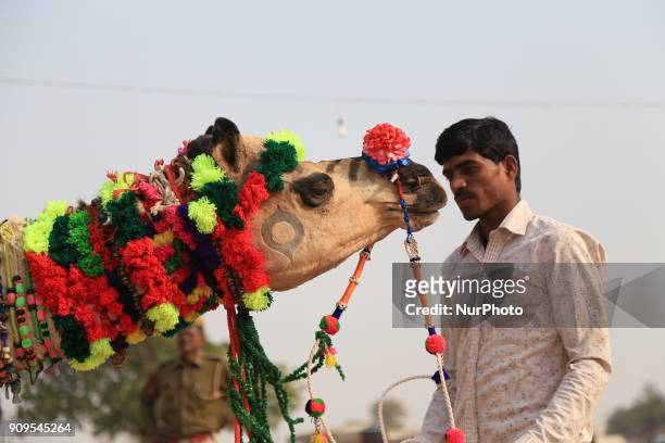 54 Nagaur Animal Fair Photos and Premium High Res Pictures - Getty Images