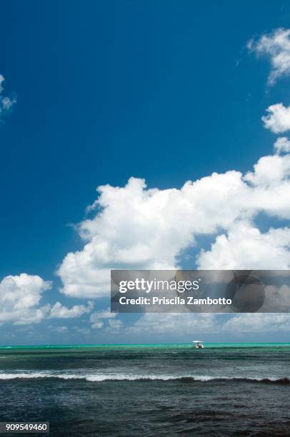 maragogi beach - maceió stock pictures, royalty-free photos & images