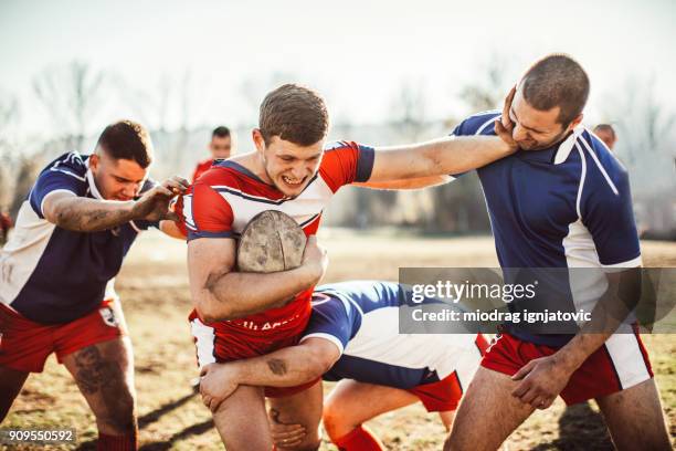 People Fighting Rugby 116 Rugby Players Tackling Each Other In Mud Stock Photos, High-Res ...