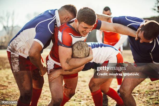 Rugby Rough 153 Rugby Players Tackling Each Other In Mud Stock Photos, High-Res ...