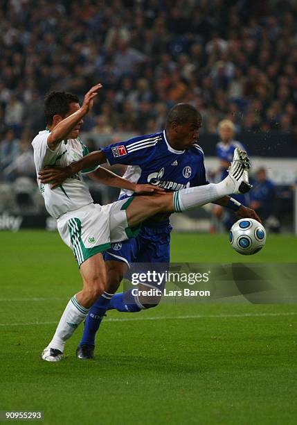 Jefferson Farfan of Schalke is challenged by Marcel Schaefer of Wolfsburg during the Bundesliga match between FC Schalke 04 and VfL Wolfsburg at...