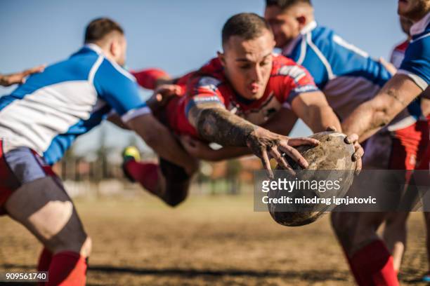 rugby isn't for fainthearted - rugby team stock pictures, royalty-free photos & images