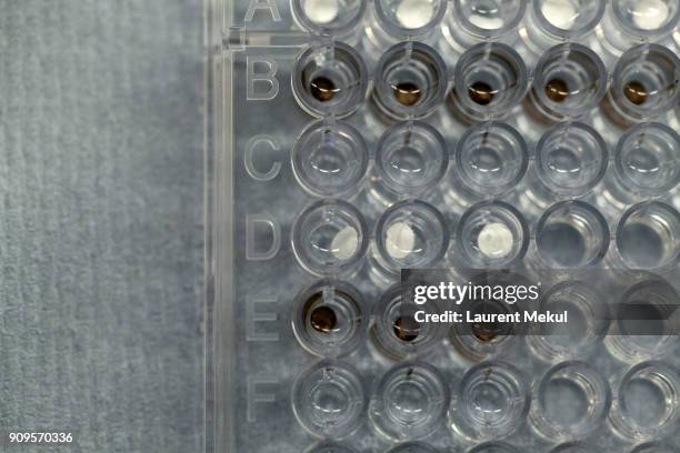 96 wellplate - microplate stock pictures, royalty-free photos & images
