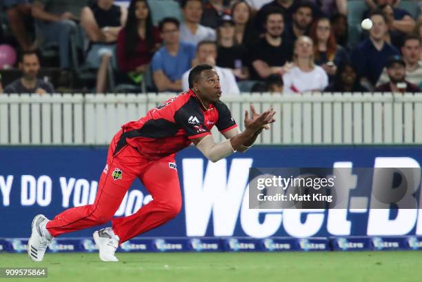 Kieron Pollard of the Renegades takes a catch to dismiss Shane Watson of the Thunder during the Big Bash League match between the Sydney Thunder and...