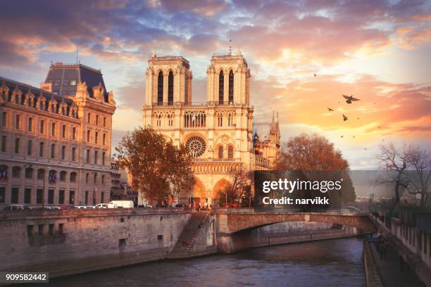 cathedrale notre-dame de paris - kathedrale von notre dame stock-fotos und bilder