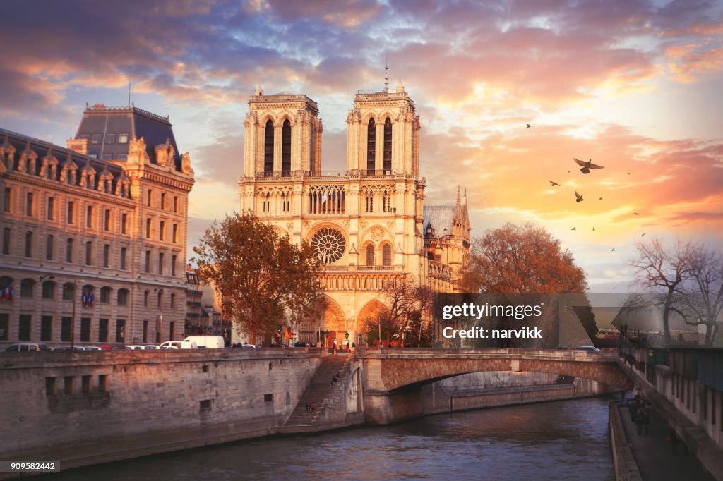 Cathedrale Notre-Dame de Paris