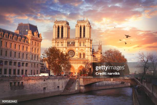 cathedrale notre-dame de paris - notre dame de paris stock pictures, royalty-free photos & images