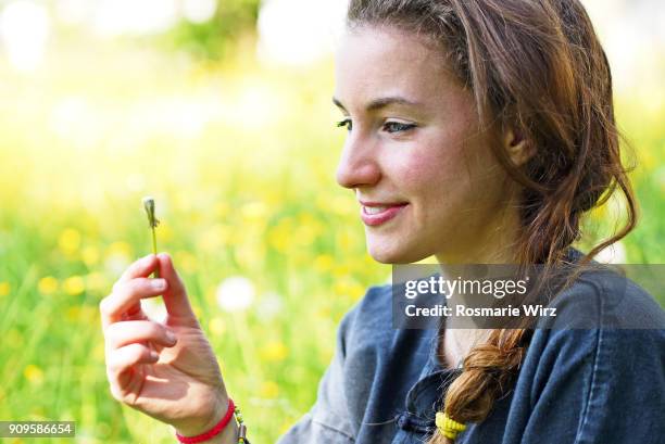 young teenage woman holding a blown dandelion - dandelion greens stock pictures, royalty-free photos & images