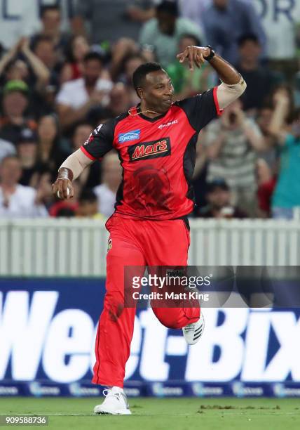 Kieron Pollard of the Renegades celebrates taking a catch to dismiss Shane Watson of the Thunder during the Big Bash League match between the Sydney...