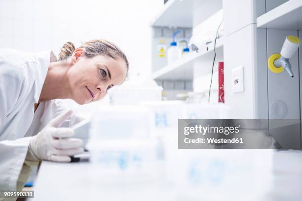 scientist in lab examining samples - laborkittel stock-fotos und bilder