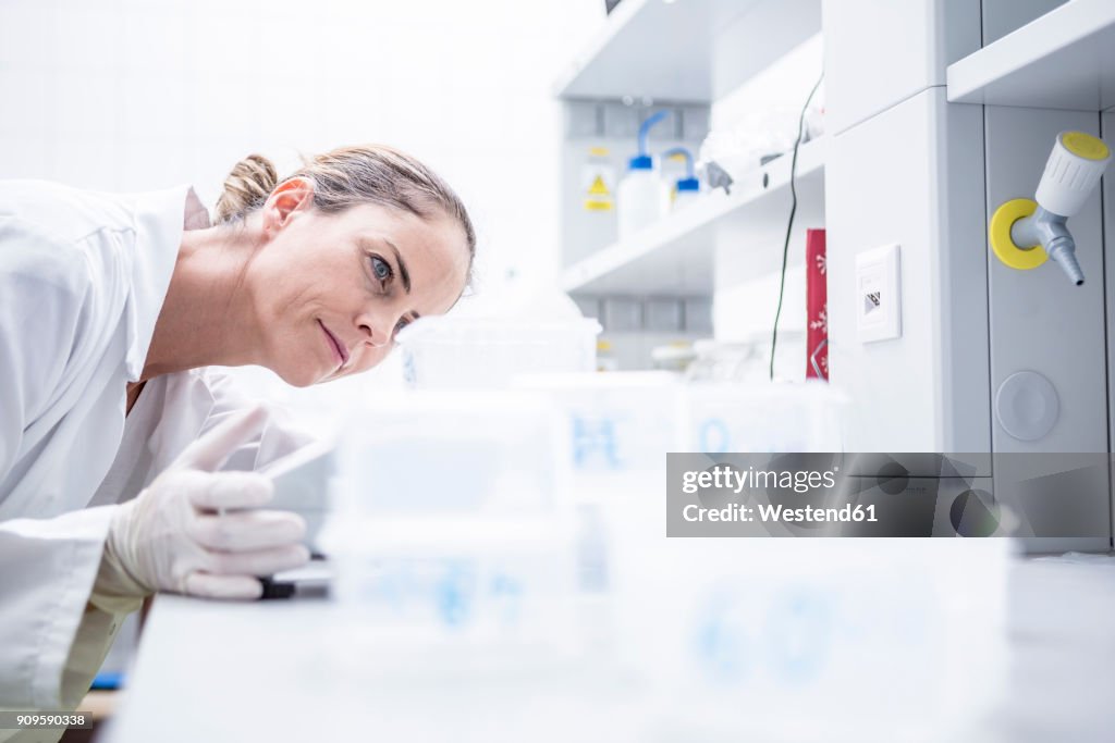 Scientist in lab examining samples