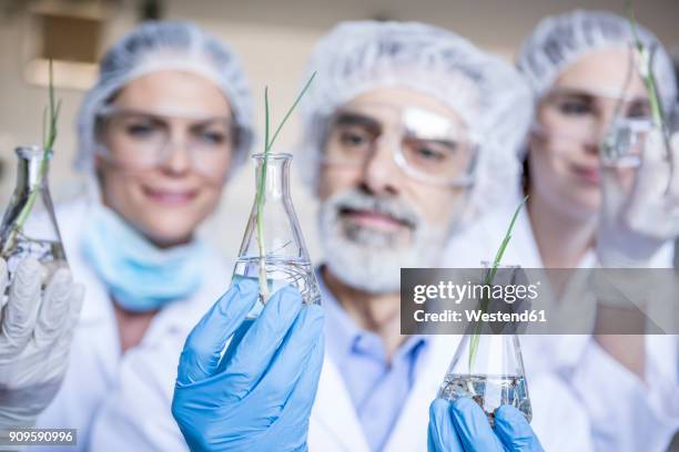 scientists in lab holding beakers with plant seedlings - lab closeups stock-fotos und bilder