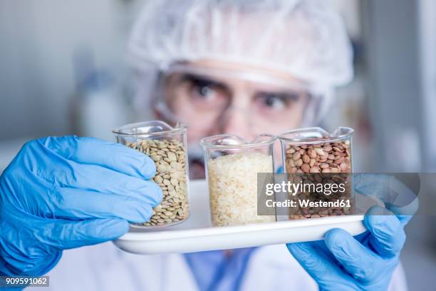 scientist in lab examining food samples - examining food stock pictures, royalty-free photos & images