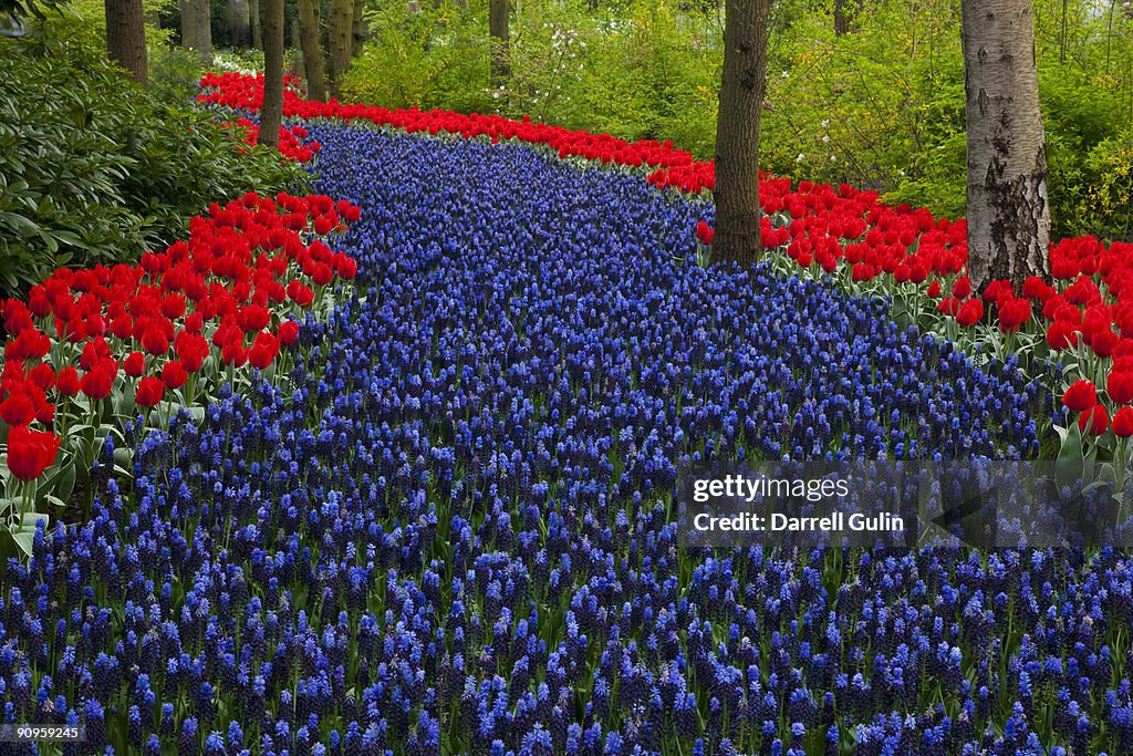 Springtime Garden Design in bulbs Kuekenhof Garden