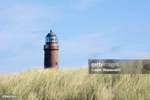 germany, mecklenburg-western pomerania, fischland-darss-zingst, darss, western pomerania lagoon area national park, view to lighthouse - fischland darss zingst stock pictures, royalty-free photos & images