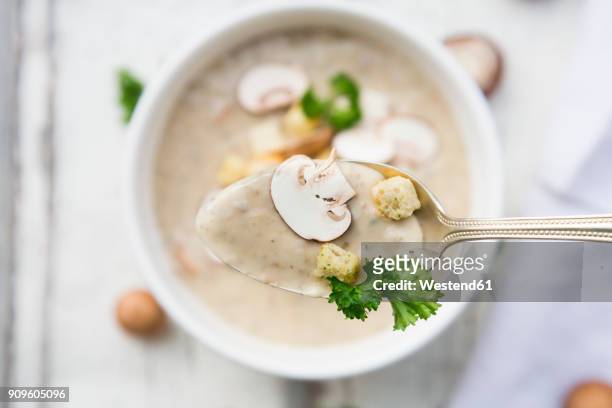 creme of mushroom soup and croutons on spoon - soup bowl stock pictures, royalty-free photos & images