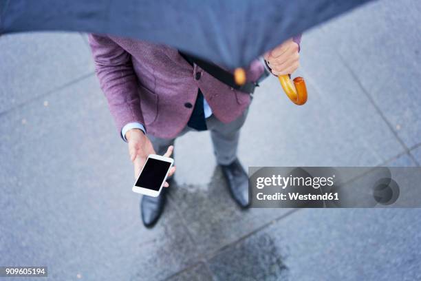 businessman standing under umbrella holding cell phone, partial view - purple jacket stock pictures, royalty-free photos & images