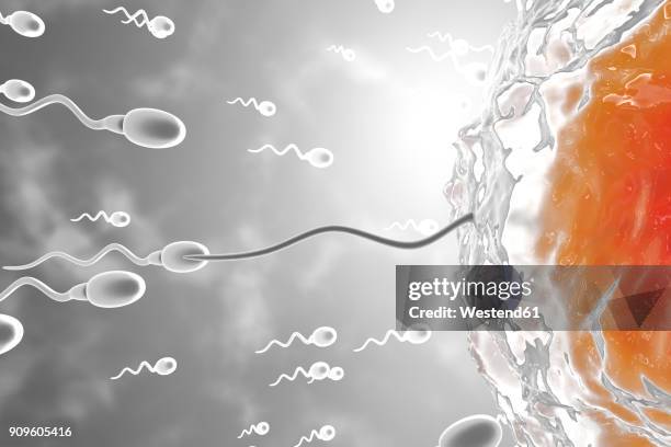 3d rendered illustration, visualisation of sperm cells racing to a egg to fertilise - male likeness stock illustrations