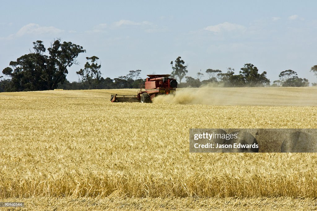Near Bendigo, Victoria, Australia.