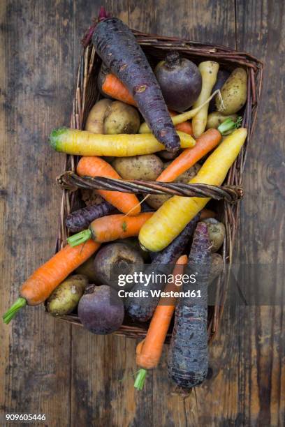 winter vegetables, carrot, beetroot, potato and parsnip in basket - winter vegetables stockfoto's en -beelden