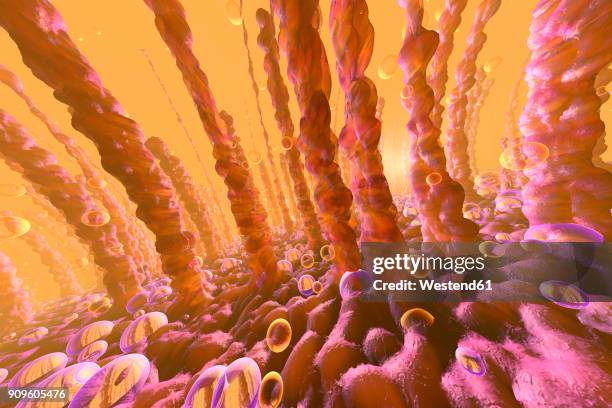 3d illustration of lung or liver cells with oxygen bubbles floating within - bronchialbaum stock-grafiken, -clipart, -cartoons und -symbole