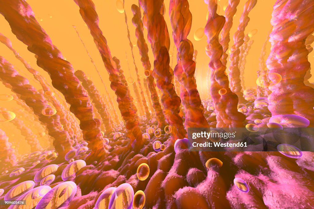 3D Illustration of lung or liver cells with oxygen bubbles floating within