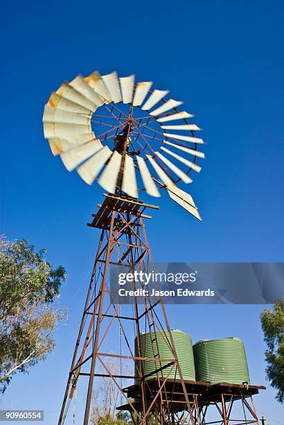sturt national park, new south wales, australia. - outback windmill stock pictures, royalty-free photos & images