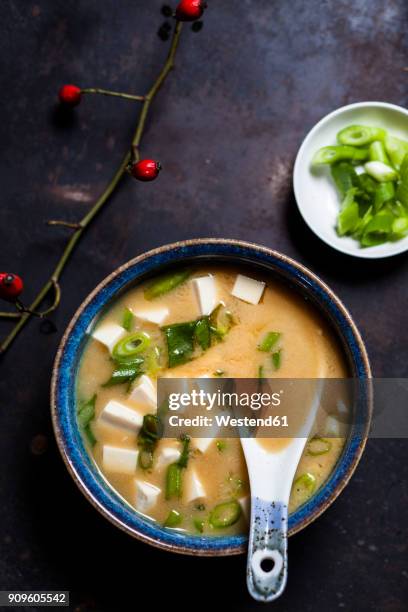 miso soup, silken tofu, wakame seaweed, spring onion - miso sauce stock pictures, royalty-free photos & images