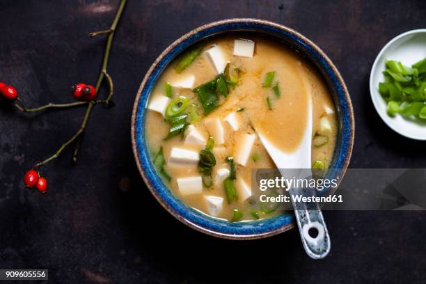 miso soup, silken tofu, wakame seaweed, spring onion - kelp stock-fotos und bilder