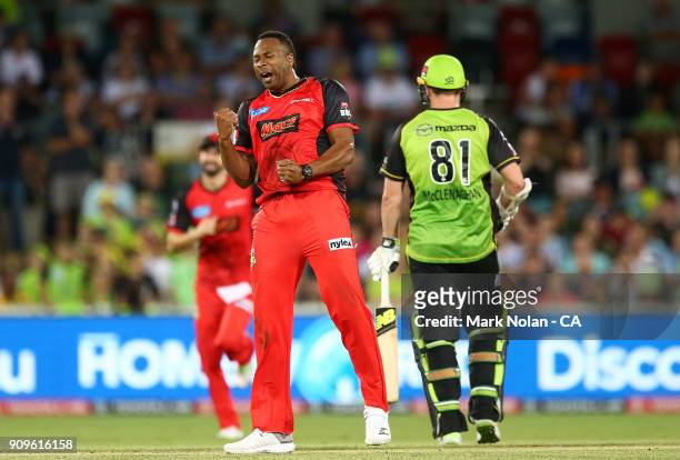 Kieron Pollard of the Renegades celebrates taking the final wicket during the Big Bash League match between the Sydney Thunder and the Melbourne...