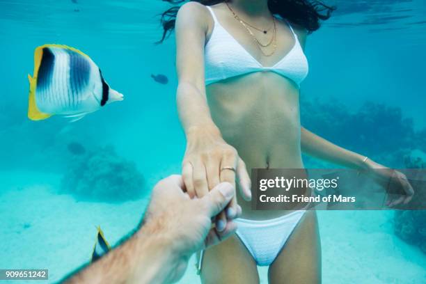 underwater point of view of girl in bikini with exotic fish - franse overzeese gebieden stockfoto's en -beelden