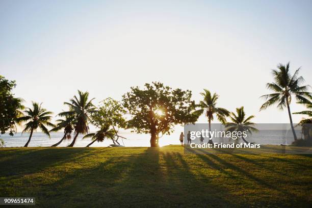 exotic palm trees line the ocean in tahiti - society islands stock pictures, royalty-free photos & images