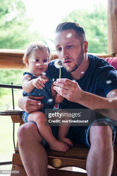 millenial family chilling at summer house outdoors. - dandelion blowing stock pictures, royalty-free photos & images
