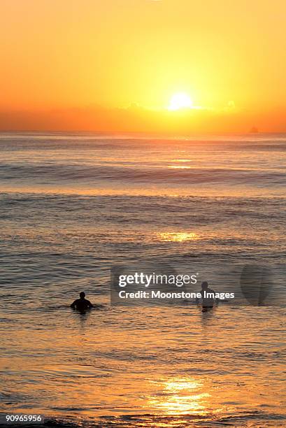 surfer in durban, südafrika - north beach durban stock-fotos und bilder