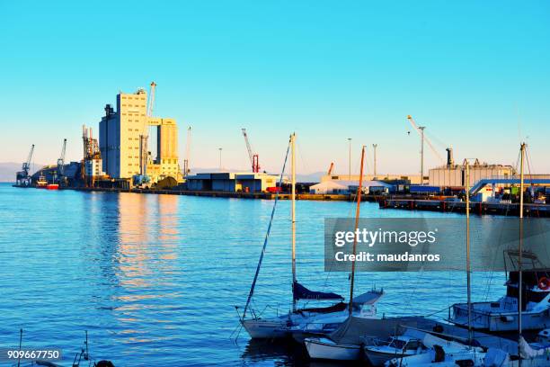 savona, italy - goiter stock pictures, royalty-free photos & images