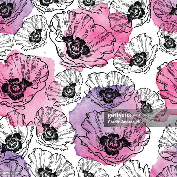 Poppy Pattern Drawing 618 Poppy Line Drawing Stock Photos, High-Res Pictures, and Images ...
