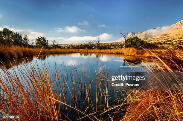 manzanita spring & el capitan - parque nacional de las montañas de guadalupe fotografías e imágenes de stock