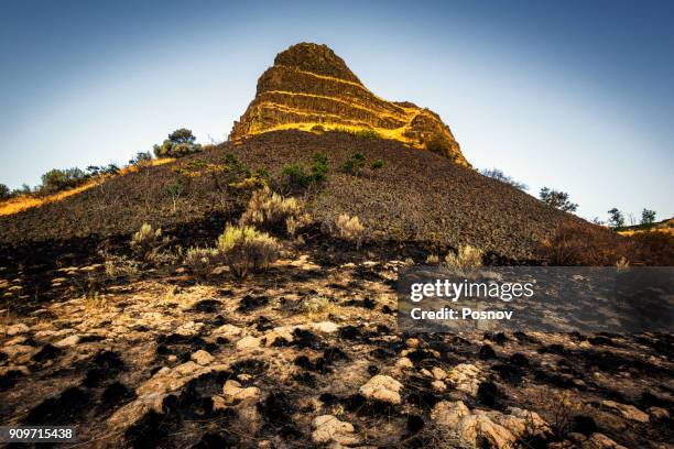 41 Wanapum Stock Photos, HighRes Pictures, and Images Getty Images