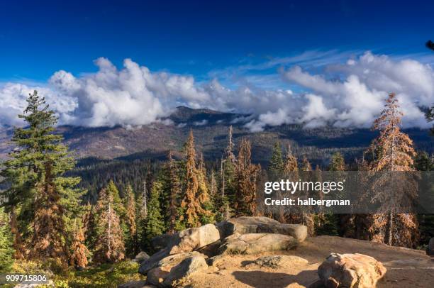 interessante wolken über kings canyon nationalpark, kalifornien - kings canyon nationalpark stock-fotos und bilder