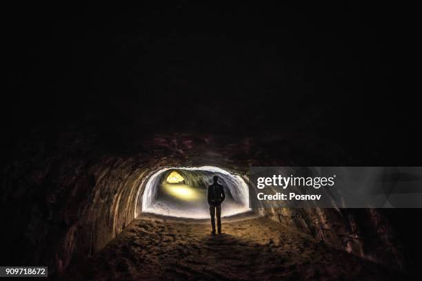 subway cave - lava tube stock pictures, royalty-free photos & images