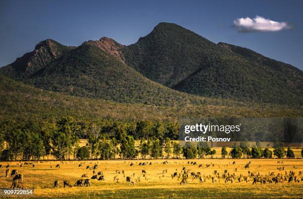 southern grampians - grampians stock pictures, royalty-free photos & images