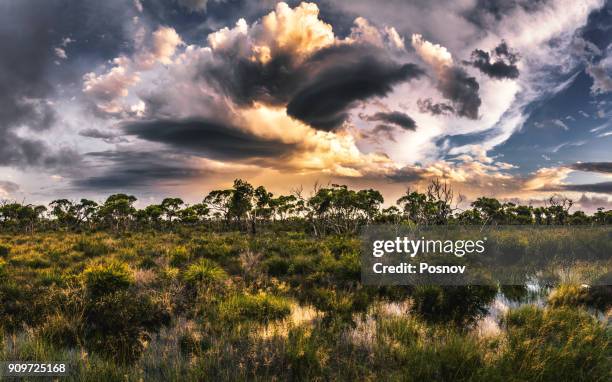 Haassel Hassell National Park Stock-Fotos und Bilder - Getty Images