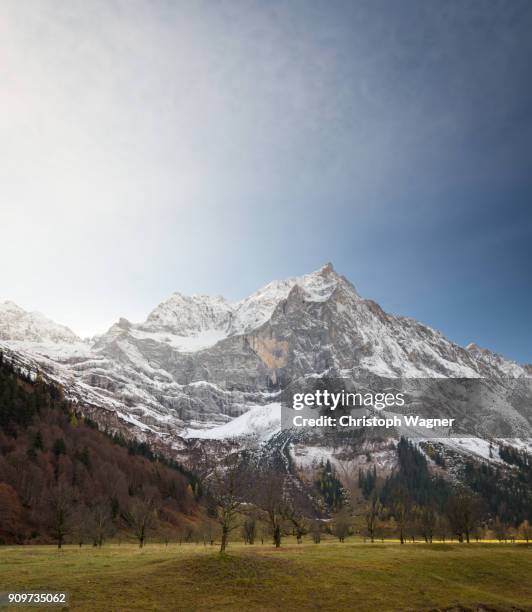 bavarian alps - großer ahornboden - bavarian alps stock pictures, royalty-free photos & images