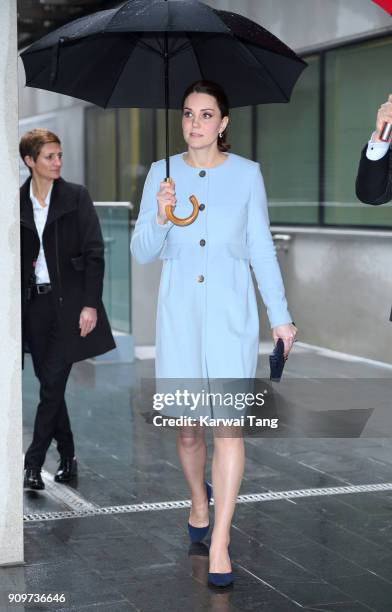 Catherine, Duchess of Cambridge visits the Maurice Wohl Clinical Neuroscience Institute at Kings College on January 24, 2018 in London, England.