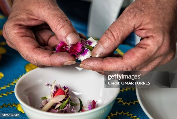 Mexican chef Martha Ortiz prepares a dish called Vampire Ceviche" made with Sangrita -non alcoholic beverage of tomato, lime and orange juice,...