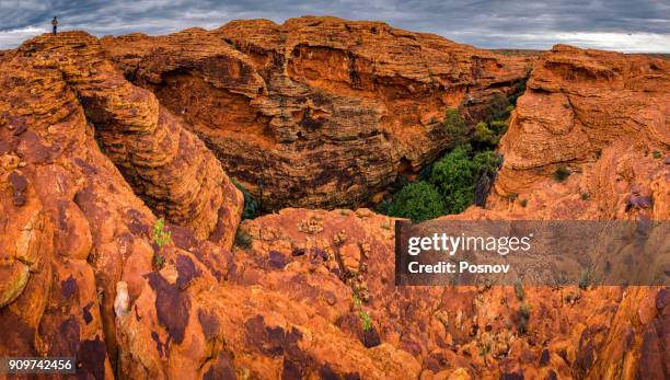 watarrka national park - kings canyon fotografías e imágenes de stock