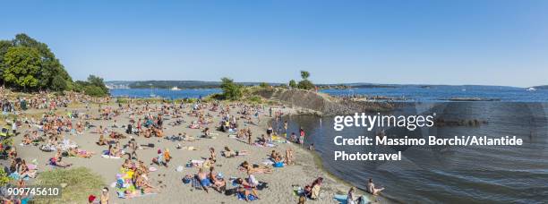 huk beach - oslo city life stock pictures, royalty-free photos & images