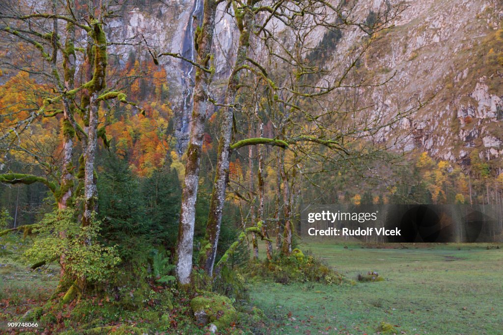 Cliffs Background Fall Autumn Idyllic Scenery With A Waterfall Falling From A Cliff In ...