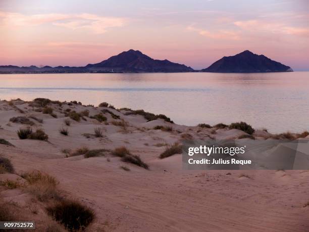 on the beach - mexicali stock pictures, royalty-free photos & images